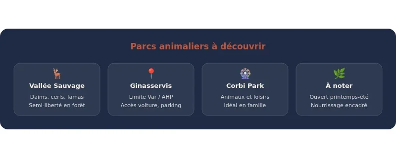 Infographie parc animalier 04