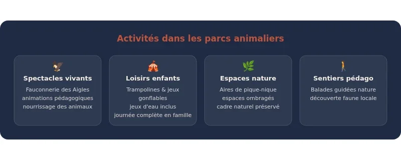 Infographie parc animalier 04