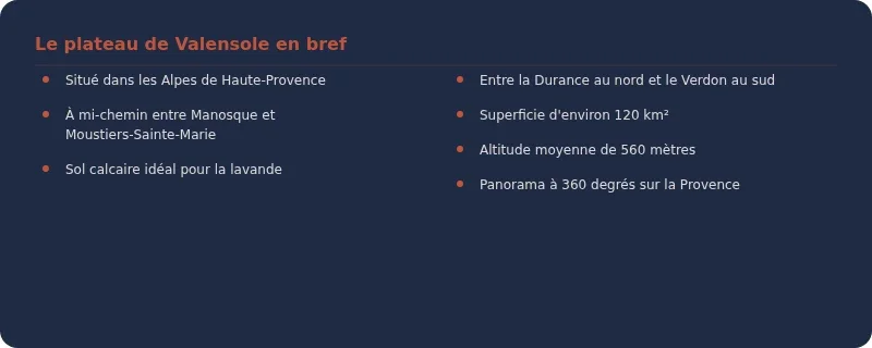 Infographie plateau de valensole