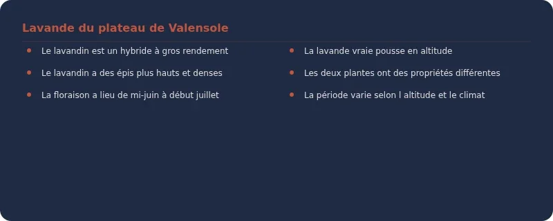 Infographie plateau de valensole